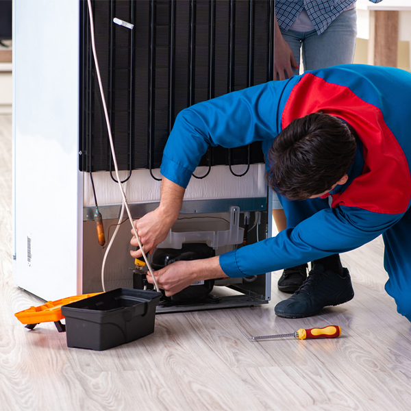 is it cost-effective to repair a refrigerator or replace it entirely in Pine Top